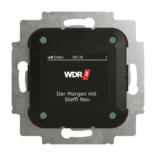 8215 U-101-500 | Busch-Radio DAB+ p/t mechanizm