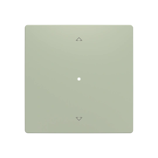 ZONI oliwkowy klawisz pojedynczy roletowy 1/1 do ABB-free@home 6220T-A01002 243