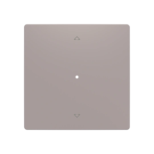 ZONI szary beżowy klawisz pojedynczy roletowy 1/1 do ABB-free@home 6220T-A01002 244