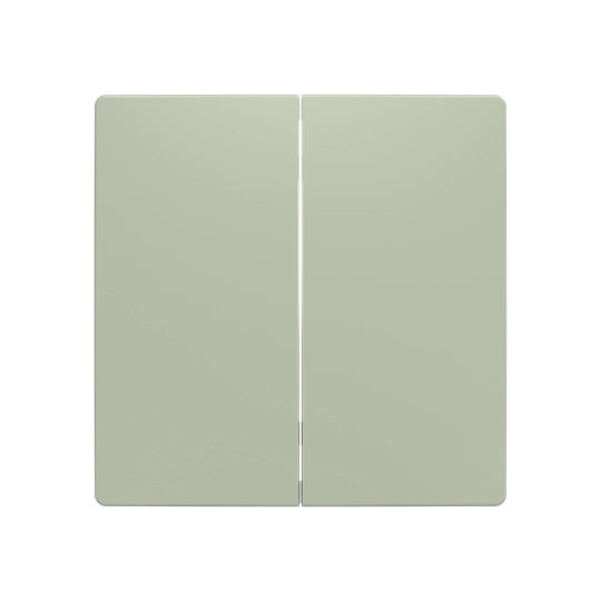 ZONI oliwkowy smart switch 2-klawiszowy 6221T-A01010 243