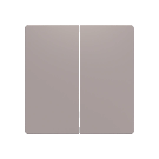 ZONI szary beżowy smart switch 2-klawiszowy 6221T-A01010 244