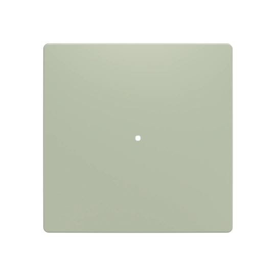 ZONI oliwkowy klawisz pojedynczy 1/1 do ABB-free@home 6620T-A01000 243