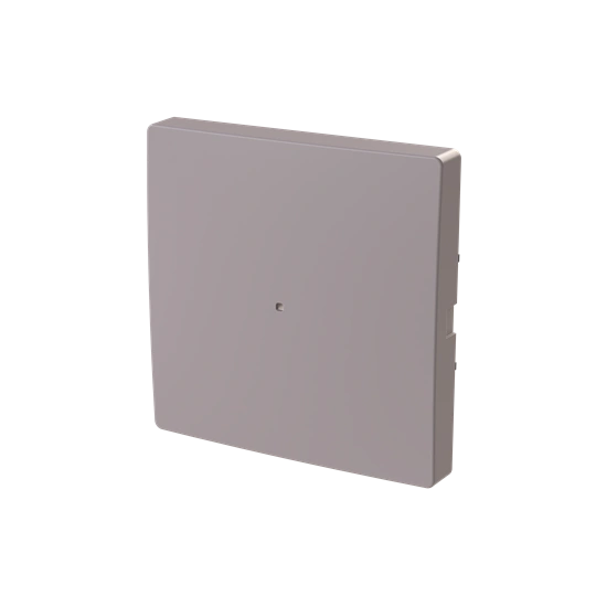 ZONI szary beżowy klawisz pojedynczy 1/1 do ABB-free@home 6620T-A01000 244
