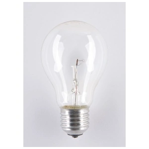 żarówka wysokotemperaturowa Soleo 100W A55 E27 24V 1000h