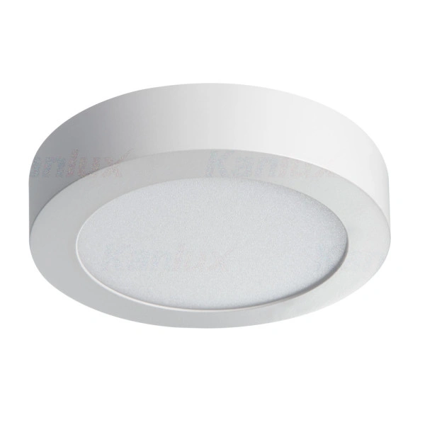 oprawa oświetleniowa LED CARSA V2LED 12W-NW-W