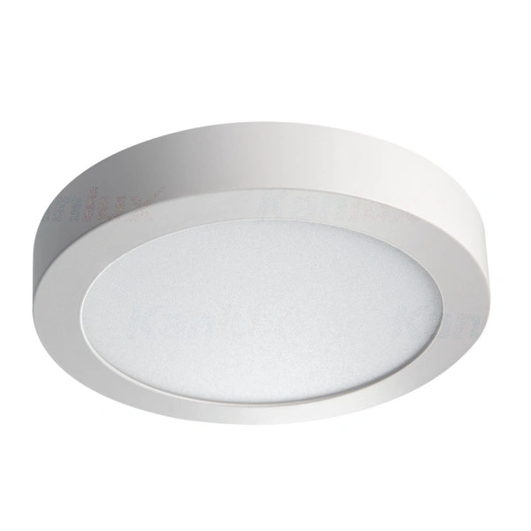 oprawa oświetleniowa LED CARSA V2LED 18W-NW-W