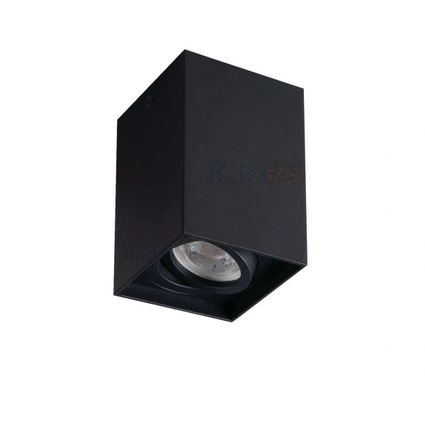 Sufitowa oprawa punktowa GORD XS DLP-50-B