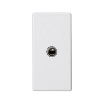 Płytka K45/2 gniazda mini-jack 22,5x45mm + wkład; zaciski śrubowe; czysta biel