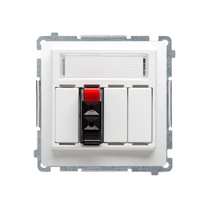 BASIC MODUŁ gniazdo głośnikowe 1-krotne, maksymalny przekrój przewodów dla wejścia i wyjścia 2,5mm2, biały [10]