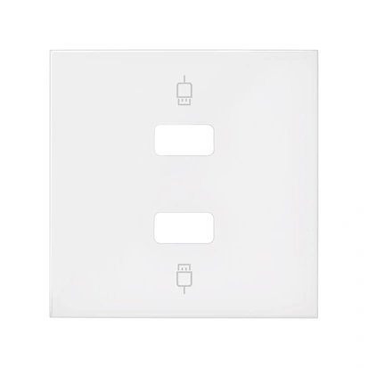 SIMON 100 Pokrywa do gniazda podwójnego 2xUSB, biały mat [1]