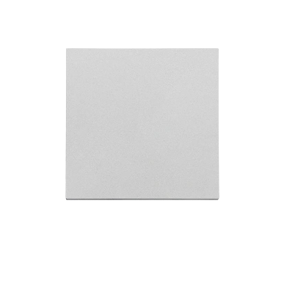 SIMON 55 Klawisz pojedynczy do: SW1M, SW6M, SW7M, SP1M, aluminium mat [20]
