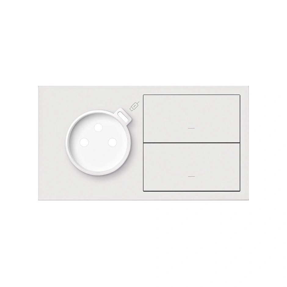 SIMON 100 Panel 2-krotny: 1 gniazdo z 1 zintegrowana ładowarka USB C + 2 klawisze, biały mat [1]