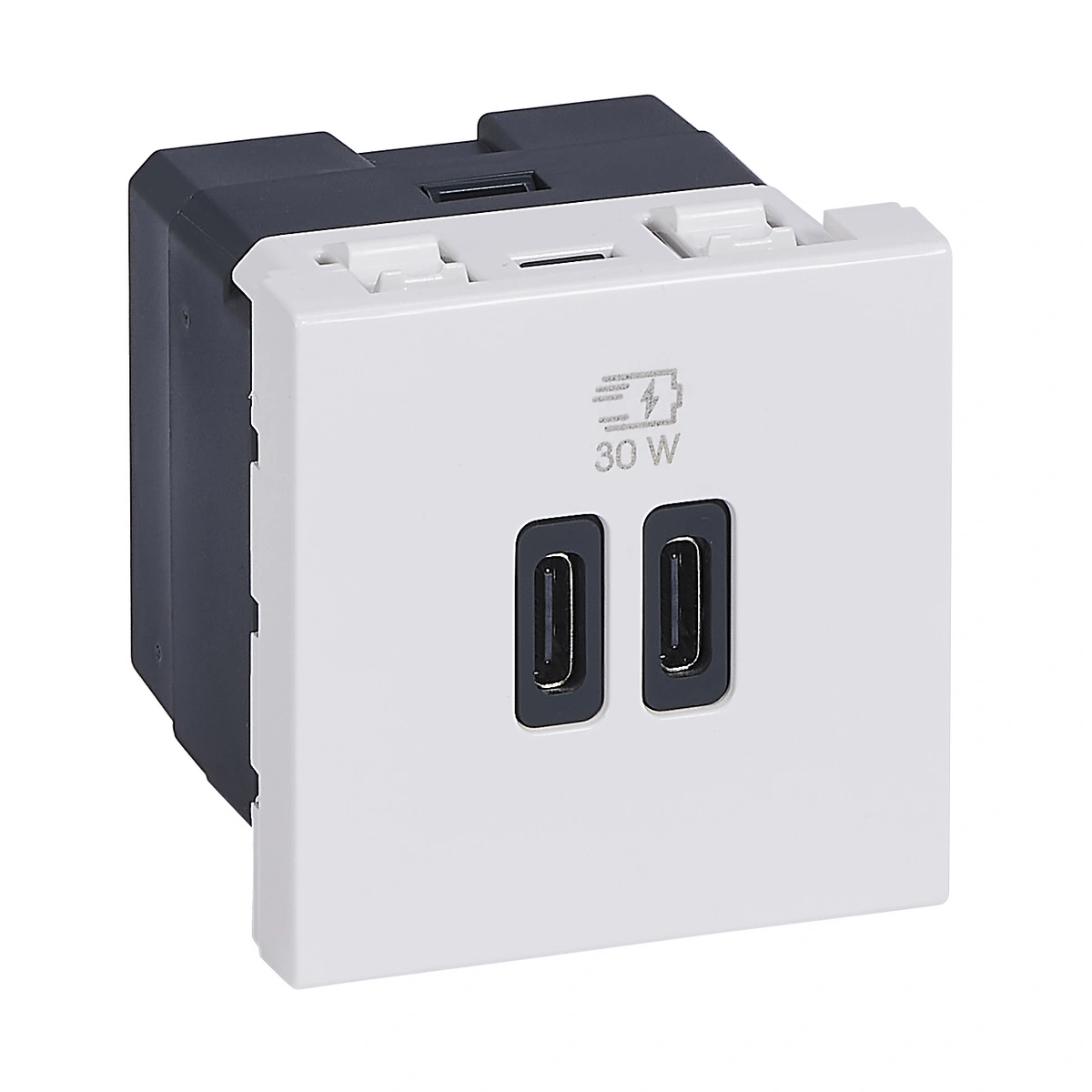 MOSAIC - GNIAZDO 2 X USB 2 MODUŁY TYP C+C 30 W BIAŁE, Legrand
