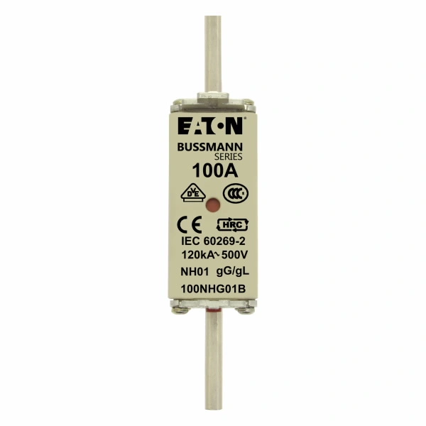 100NHG01B Wkładka NH01 100A 500V GL/GG podwójny wskaźnik