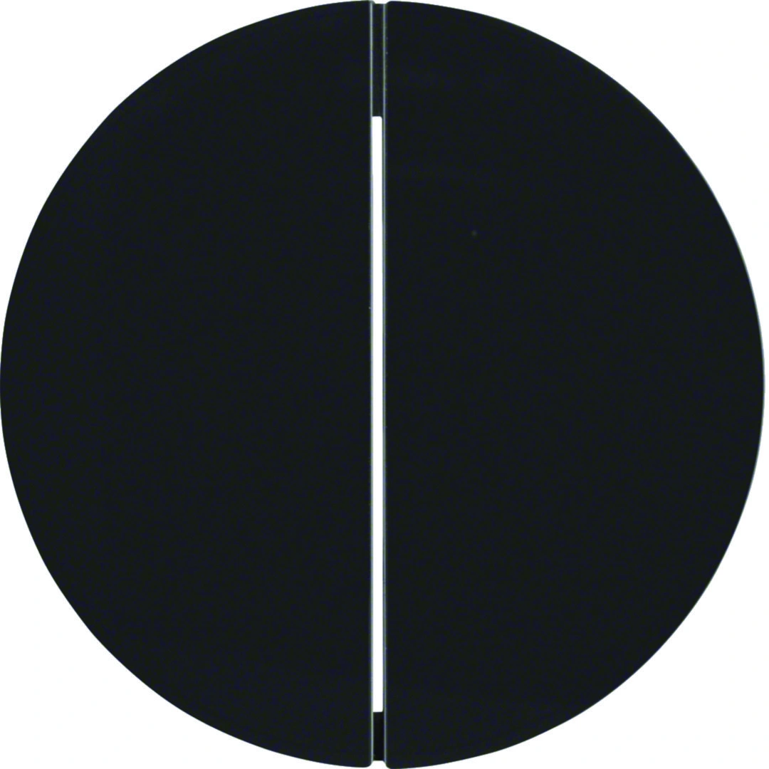 R.X/1930/Glas KNX RF quicklink przycisk 4-krotny, czarny [1]