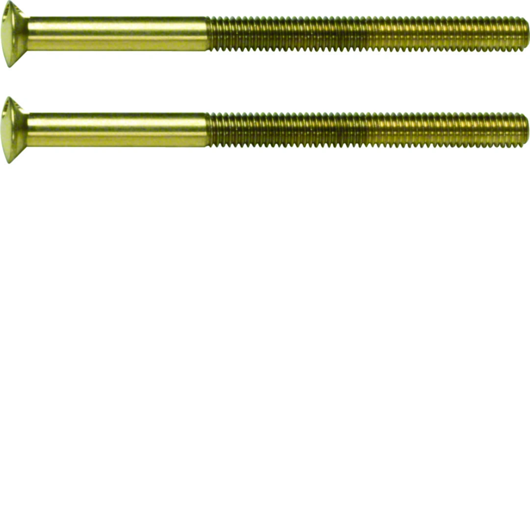 Berker TS Śruba z dwoma otworami M3,5x50mm, złoty [1]