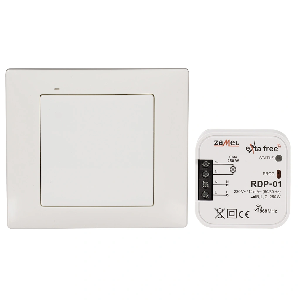ZESTAW STEROWANIA BEZPRZEWODOWEGO (RNK02+RDP01) TYP: RZB-02